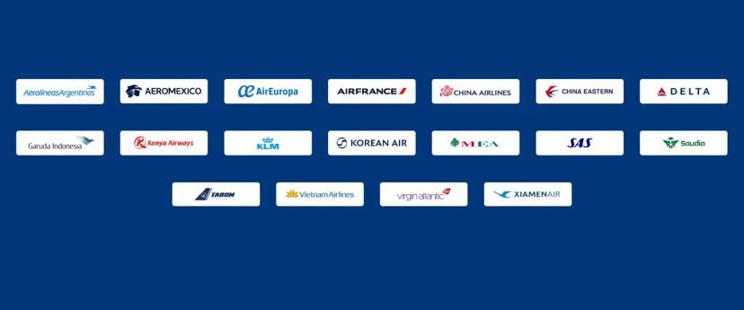 Skyteam Alliance Web Banner