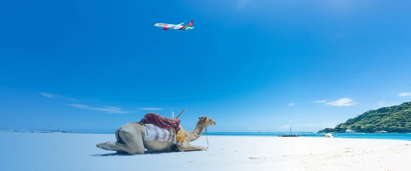 Camel Mombasa Beach