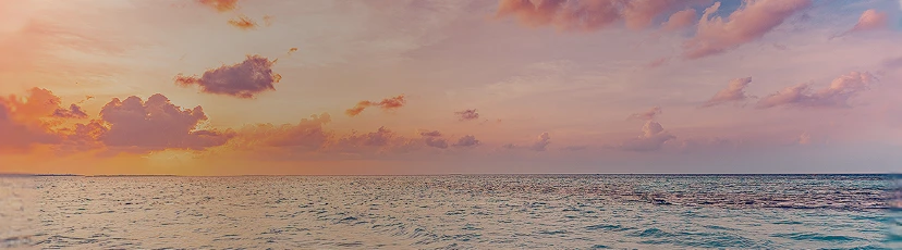 Website 404 Banner Horizon