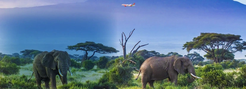 Nairobi-National-Park