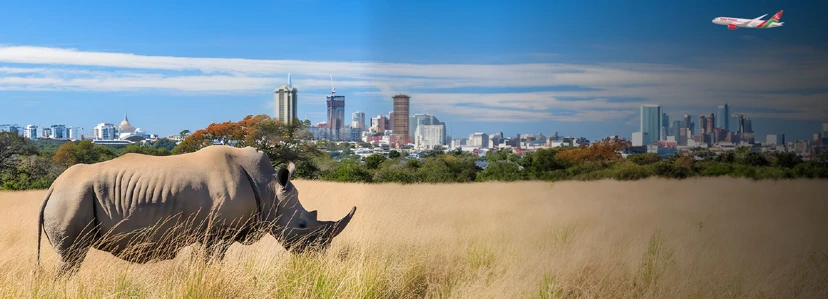Nairobi National Park Destination Banner