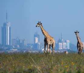 Nairobi