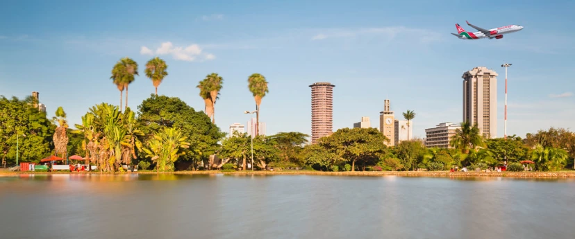 TZ Diaspora Web Banner